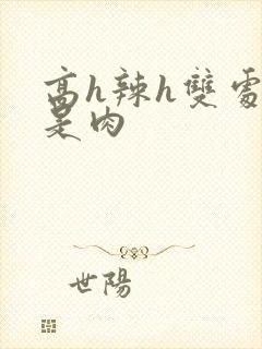 高h辣h双处全是肉