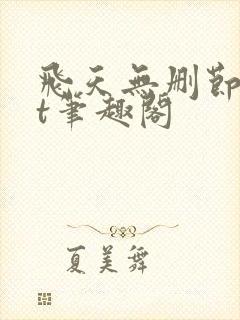 飞天无删节txt笔趣阁