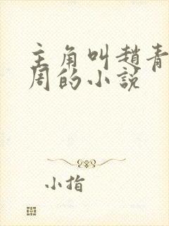 主角叫赵青和老周的小说