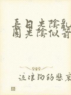 长日光阴乱作一团光阴似箭无弹窗封面