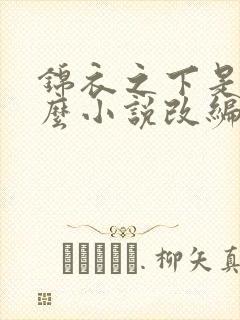 锦衣之下是用什么小说改编的