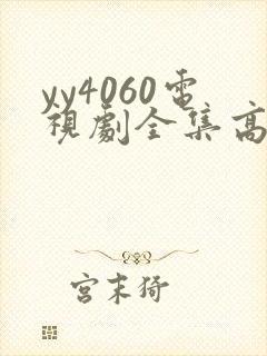 yy4060电视剧全集高清免费播放封面