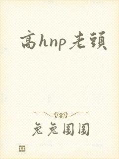 高hnp老头