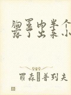 胸罩内半个奶都露了出来小说