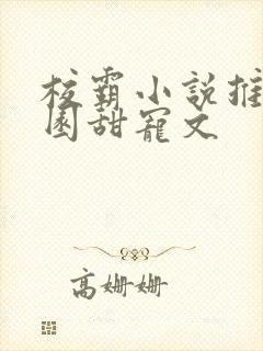 校霸小说推荐校园甜宠文