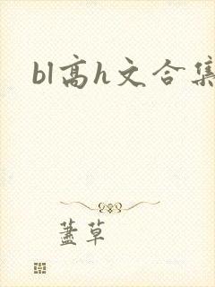 bl高h文合集封面