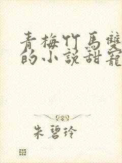 青梅竹马双学霸的小说甜宠文