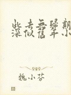 此去无归期,春深似旧年小说免费阅读封面