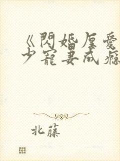 《闪婚厚爱:墨少宠妻成瘾》