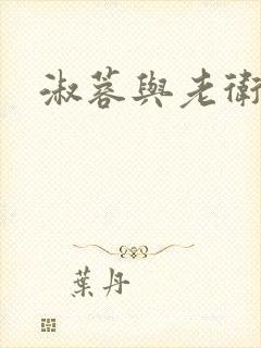 淑蓉与老卫封面