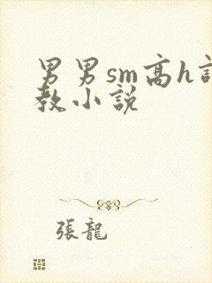 男男sm高h调教小说