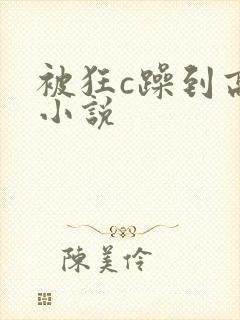 被狂c躁到高潮小说