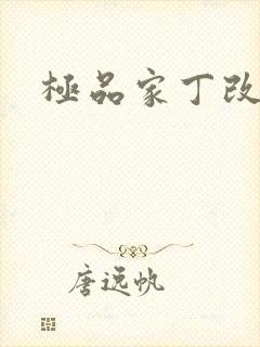 极品家丁改编