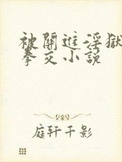 被关进淫狱调教拳交小说