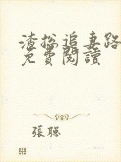 渣总追妻路漫漫免费阅读封面