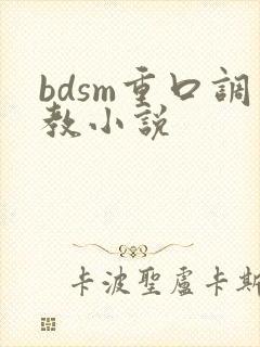 bdsm重口调教小说