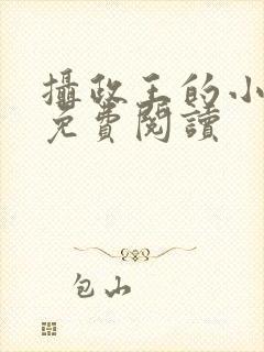 摄政王的小娇妃免费阅读