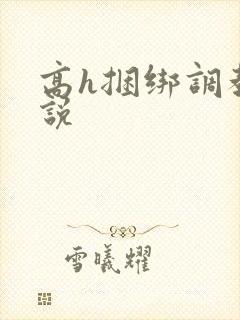 高h捆绑调教小说
