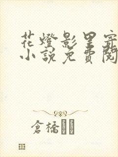 花灯影里寄相思小说免费阅读封面