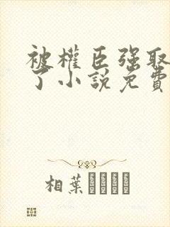 被权臣强取豪夺了小说免费阅读封面