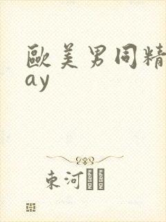 欧美男同精品gay