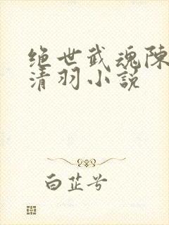绝世武魂陈枫燕清羽小说封面