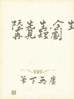 陆先生,余生不再见短剧