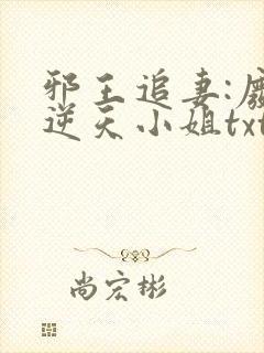 邪王追妻:废材逆天小姐txt封面