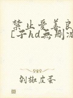 禁止爱善良的小[子hd无删减播放