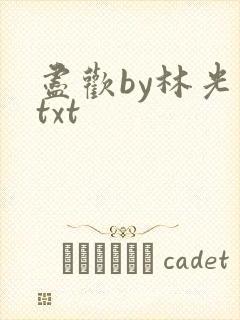 尽欢by林光曦txt