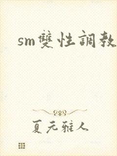 sm双性调教文封面