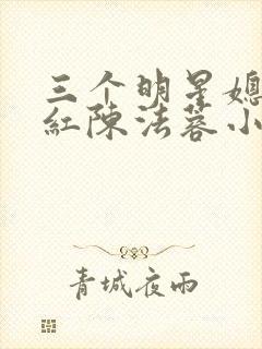 三个明星媳妇陈红陈法蓉小说