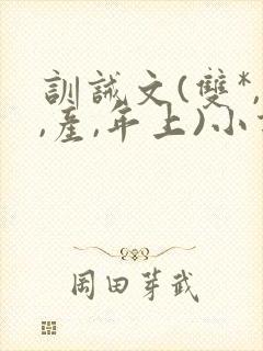 训诫文(双*,,产,年上)小说