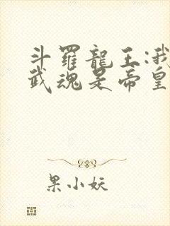 斗罗龙王:我的武魂是帝皇铠甲免费阅读