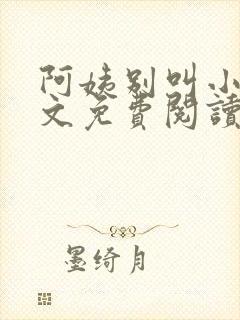 阿姨别叫小说全文免费阅读