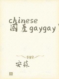 chinese国产gaygay男男网站