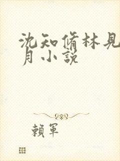 沈知修林见微江月小说