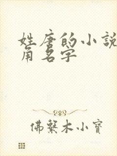 姓唐的小说男主角名字封面