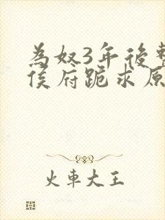 为奴3年后整个侯府跪求原谅