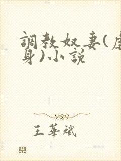 调教奴妻(虐女身)小说封面