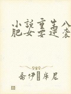 小说重生八零:肥女要逆袭完整版未删减小说