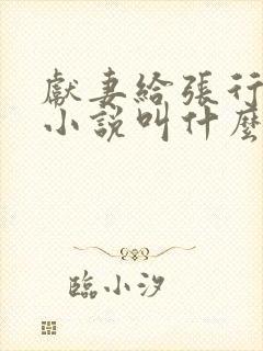 献妻给张行原著小说叫什么名字