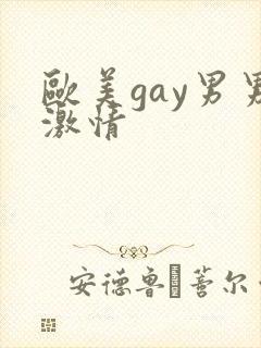 欧美gay男男激情