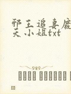 邪王追妻废材逆天小姐txt