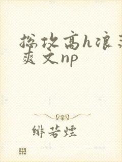 总攻高h浪荡肉爽文np
