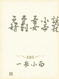 免费看小说从赘婿到女帝宠臣封面