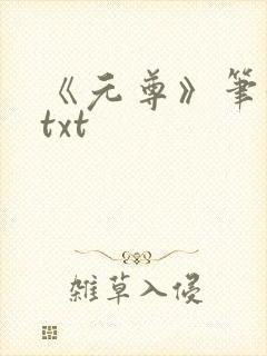 《元尊》笔趣阁txt