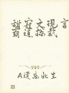 甜宠文现言推荐霸道总裁封面