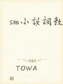 sm小说调教h