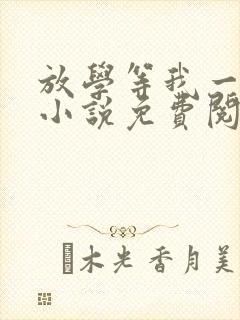 放学等我一起走小说免费阅读封面